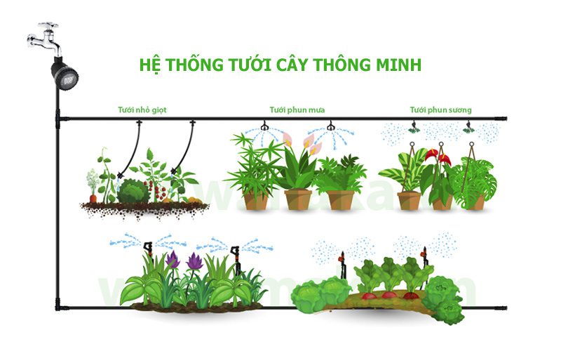 Hệ Thống Tưới Cây Thông Minh 2 Hệ thống tưới cây thông minh tự động